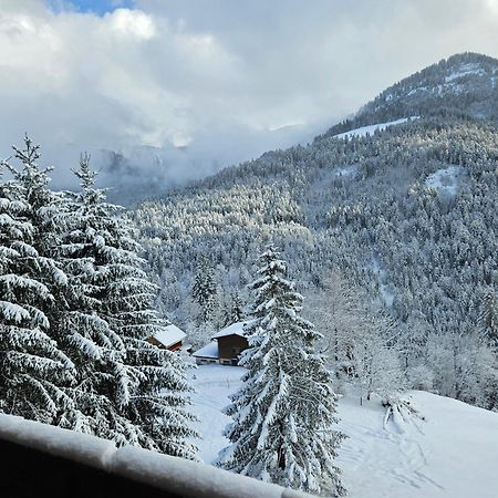 Appartement Melinda Ebnit Dornbirn Luaran gambar