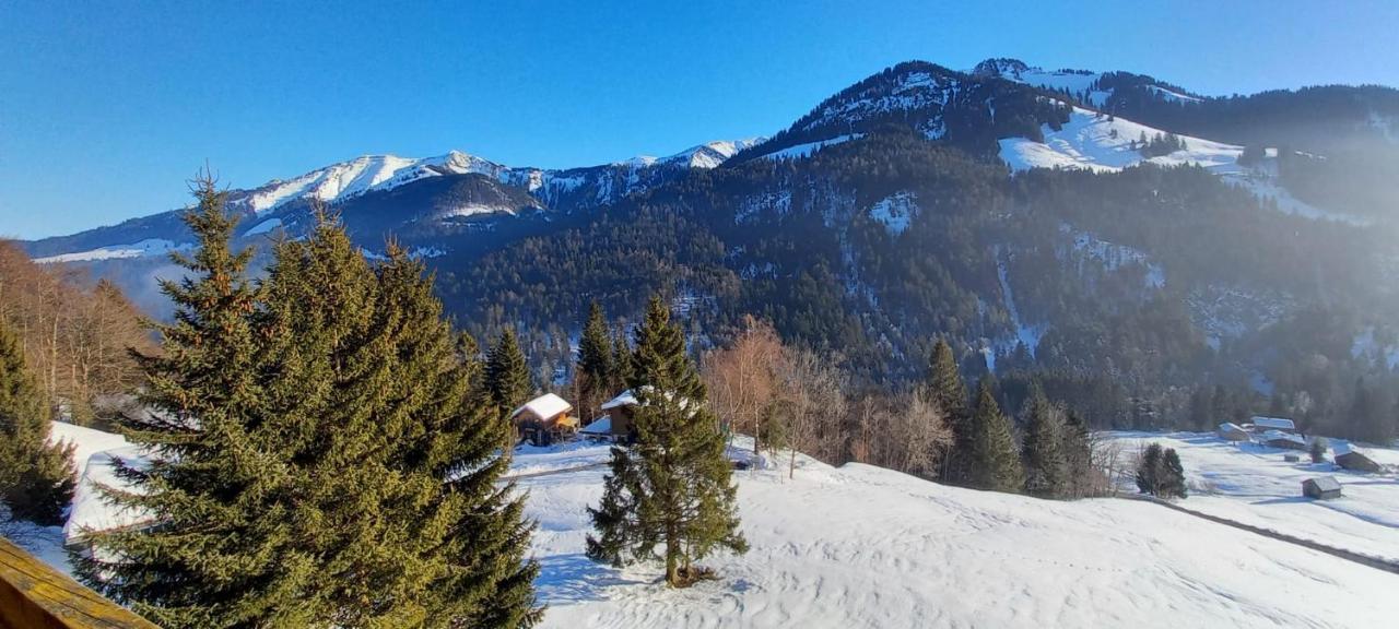 Appartement Melinda Ebnit Dornbirn Luaran gambar