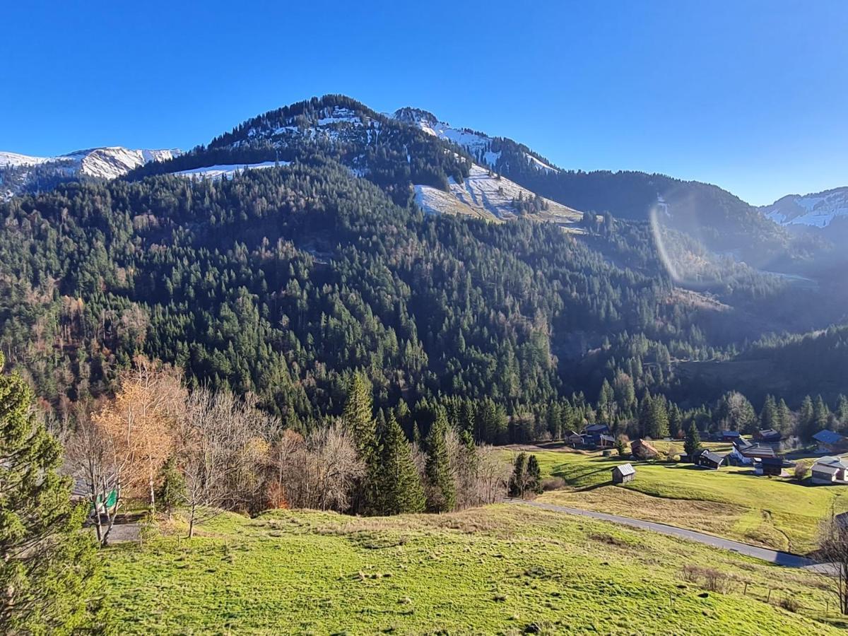Appartement Melinda Ebnit Dornbirn Luaran gambar