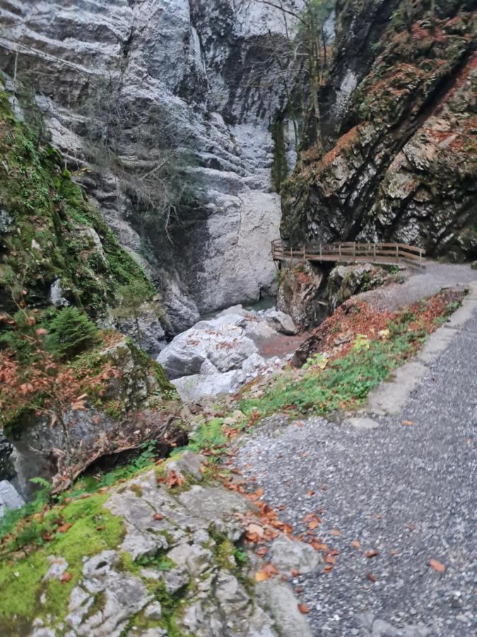 Appartement Melinda Ebnit Dornbirn Luaran gambar
